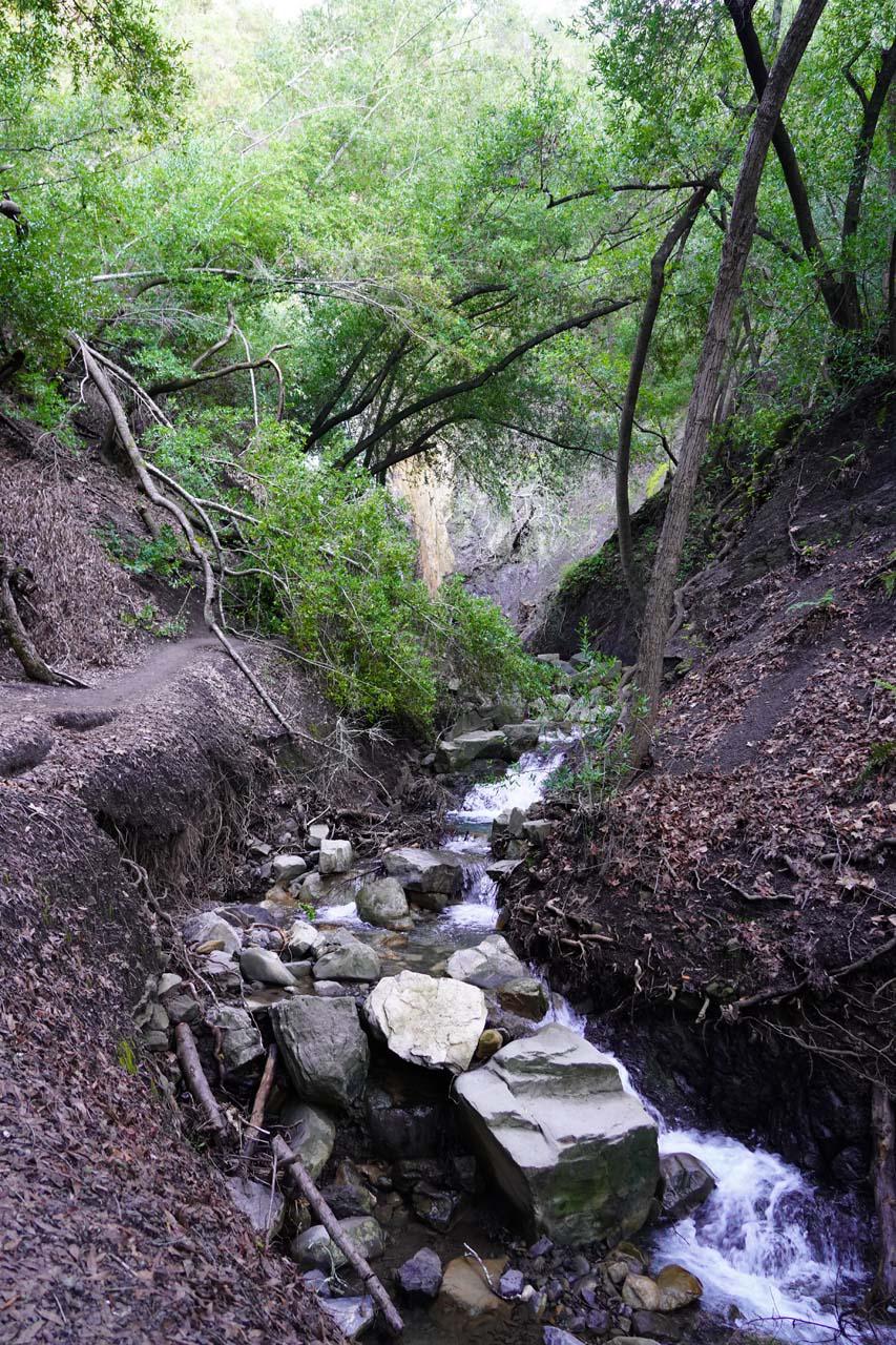 Nojoqui Falls - Limestone Waterfall That Grows Its Cliff