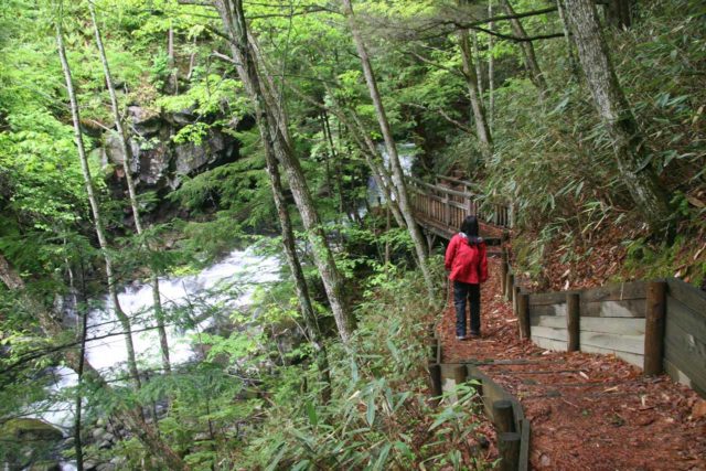 Norikura_058_05282009 - Julie on the side trail following the Koonogawa River upstream of the Bandokoro Waterfall taking in both the Bandokoro Little Falls and the Chiyomi Falls