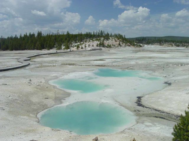 Norris_021_06222004 - Nearby Gibbon Falls is the otherworldly and geothermically active Norris Geyser Basin.  I could see why they called this part the Porcelain Basin