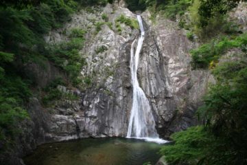 The Nunobiki Waterfall (Nunobiki-no-taki [布引の滝]; Nunobiki Falls) was actually a series of four waterfalls plus smaller cascades and man-modified waterfalls.  It was really a waterfall we didn't...