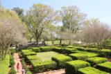 Oak_Alley_Plantation_100_03142016 - Looking down at some fancy hedges at the Oak Alley Plantation