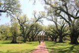 Oak_Alley_Plantation_124_03142016 - Looking back at the Big House along the Oak Alley