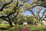 Oak_Alley_Plantation_218_03142016 - Given that it was now mid-afternoon at the Oak Alley Plantation, the lighting was not as harsh as earlier on when we were first here