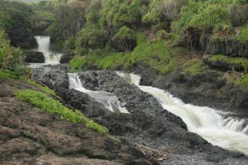 The Pools of Oheo is the name given to the series of picturesque waterfalls and swimming holes not far from the Oheo Gulch car park. You're bound to see many people frolicking in its waters...