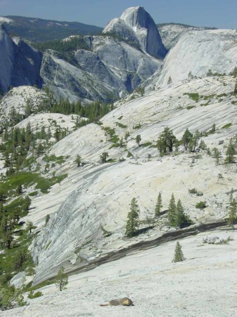 Olmstead_Point_025_06042004