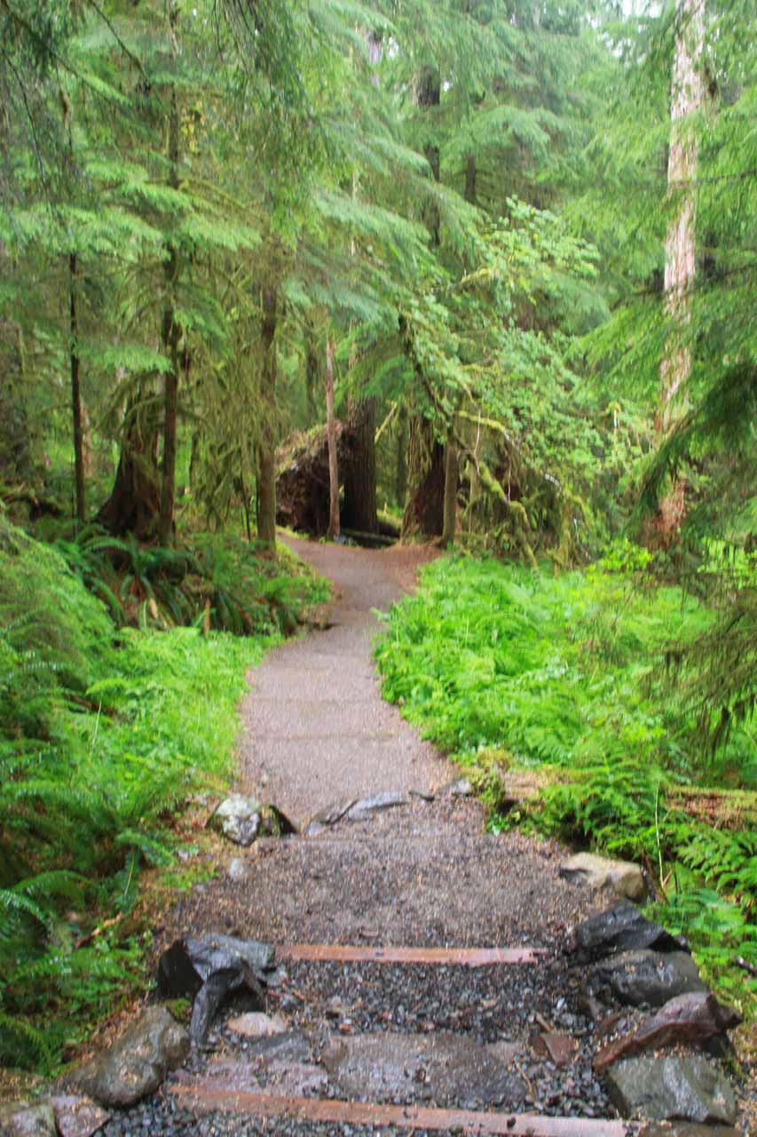 Sol Duc Falls - 3-Pronged Rainforest Waterfall in Olympic NP