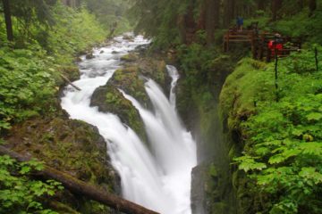 Sol Duc Falls probably was the one waterfall that best embodied the rainforest feel of Olympic National Park as far as we were concerned.  I've also seen this waterfall referred to as Soleduck...