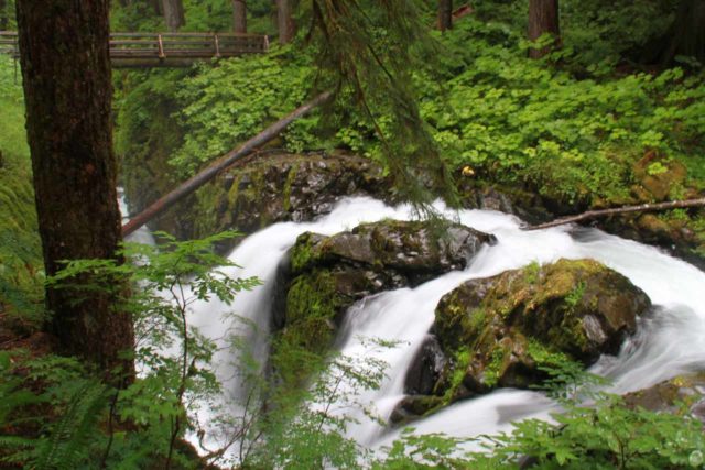 Olympic_Peninsula_189_08222011