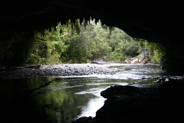 Oparara_Basin_051_12292009 - Another 65km north of Hector was Karamea, which was the gateway to the intriguing Oparara Basin and its natural arches and bridges like the Oparara Arch shown here