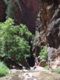 Orderville_Canyon_008_06172001