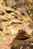 Ordesa_177_06162015 - A cairn that someone had set up to mark a decent scrambling spot to achieve a good view of Cascada de Cotatuero