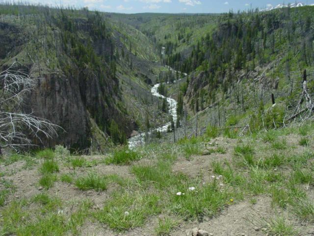 Osprey_Falls_007_06232004 - Looking into Sheepeater Canyon from the Osprey Falls Trail