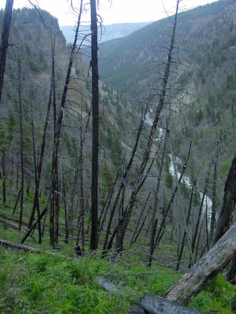 Osprey_Falls_009_06232004