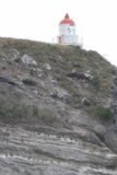 Otago_Peninsula_025_12222009 - Lighthouse and cormorants