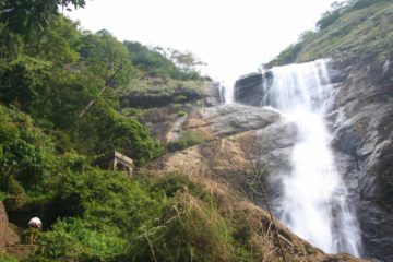 Palaruvi Falls is one of those waterfalls that apparently have ayurvedic healing properties as apparently the stream meanders through some natural herbal groves further upstream...