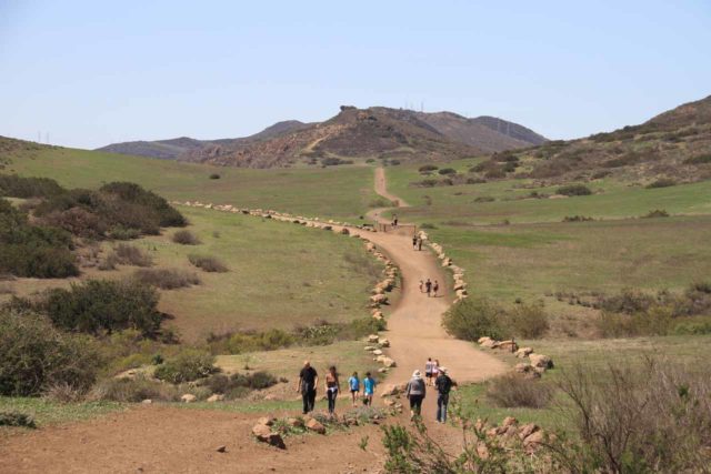 Paradise Falls and Wildwood Regional Park