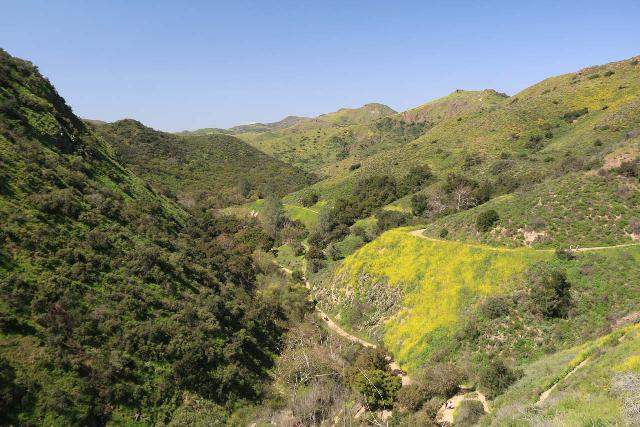 Paradise Falls Hike - Wildwood Park in Thousand Oaks — Conejo Valley Guide