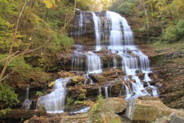 Pearsons Falls (or Pearson's Falls) was a pretty, lacy, cascading 90ft waterfall at the end of a tranquil, family-friendly stroll owned and maintained by the Tryon Garden Club.  It was said to be...
