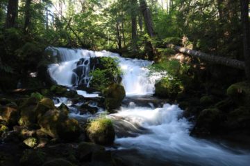 Pearsony Falls (I've also seen it spelled Pearsoney Falls) was kind of our last waterfalling throw-in after having visited the nearby duo of Mill Creek Falls and Barr Creek Falls.  In fact, if it...