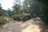 Pelverata_Falls_002_11222006 - On the trail to Pelverata Falls