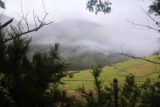 Pelverata_Falls_17_015_11262017 - Looking towards the fog shrouded private farmland causing the Pelverata Falls Track to go around it