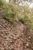 Pelverata_Falls_17_040_11262017 - Reaching a point of the Pelverata Falls Track where the terrain became rocky
