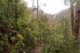Pelverata_Falls_17_056_11262017 - Contextual look at the Slippery Falls and the Pelverata Falls Track