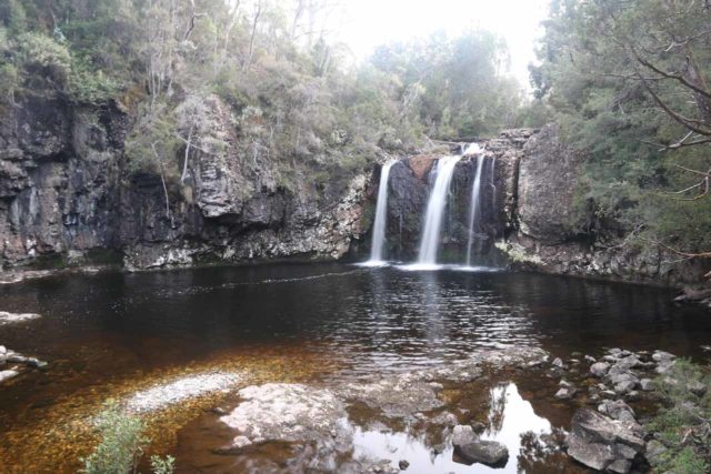 Pencil_Pine_Knyvet_Falls_028_11302017