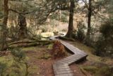 Pencil_Pine_Knyvet_Falls_053_11302017 - Continuing on the boardwalk leading to the top of Knyvet Falls