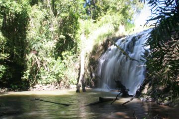 Pepina Falls (I've also seen it referred to as Papina Falls) was one of the more obscure waterfalls in the Atherton Tablelands area east of Ravenshoe (that's 