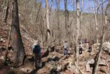 Petit_Jean_SP_139_03162016 - Following the hashes along the Cedar Falls Trail while also sharing it with many other hikers