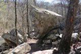 Petit_Jean_SP_290_03162016 - Back at an interesting rock formation besides a hash on the tree