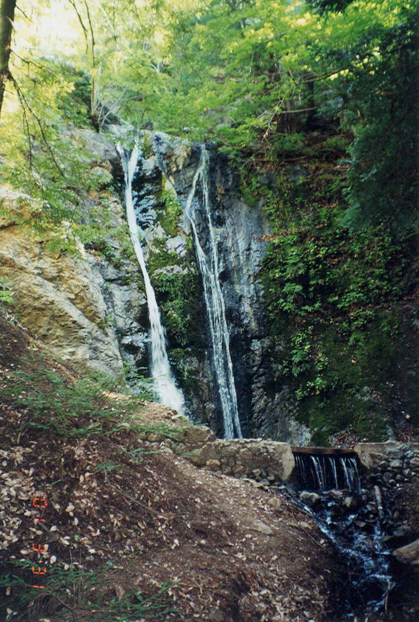 Pfeiffer Falls Waterfall In The Forested Side Of Big Sur