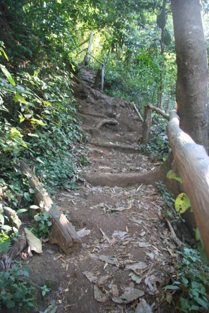 Pha_Charoen_050_01012009 - The steep and eroded path climbing alongside the Pha Charoen Waterfall