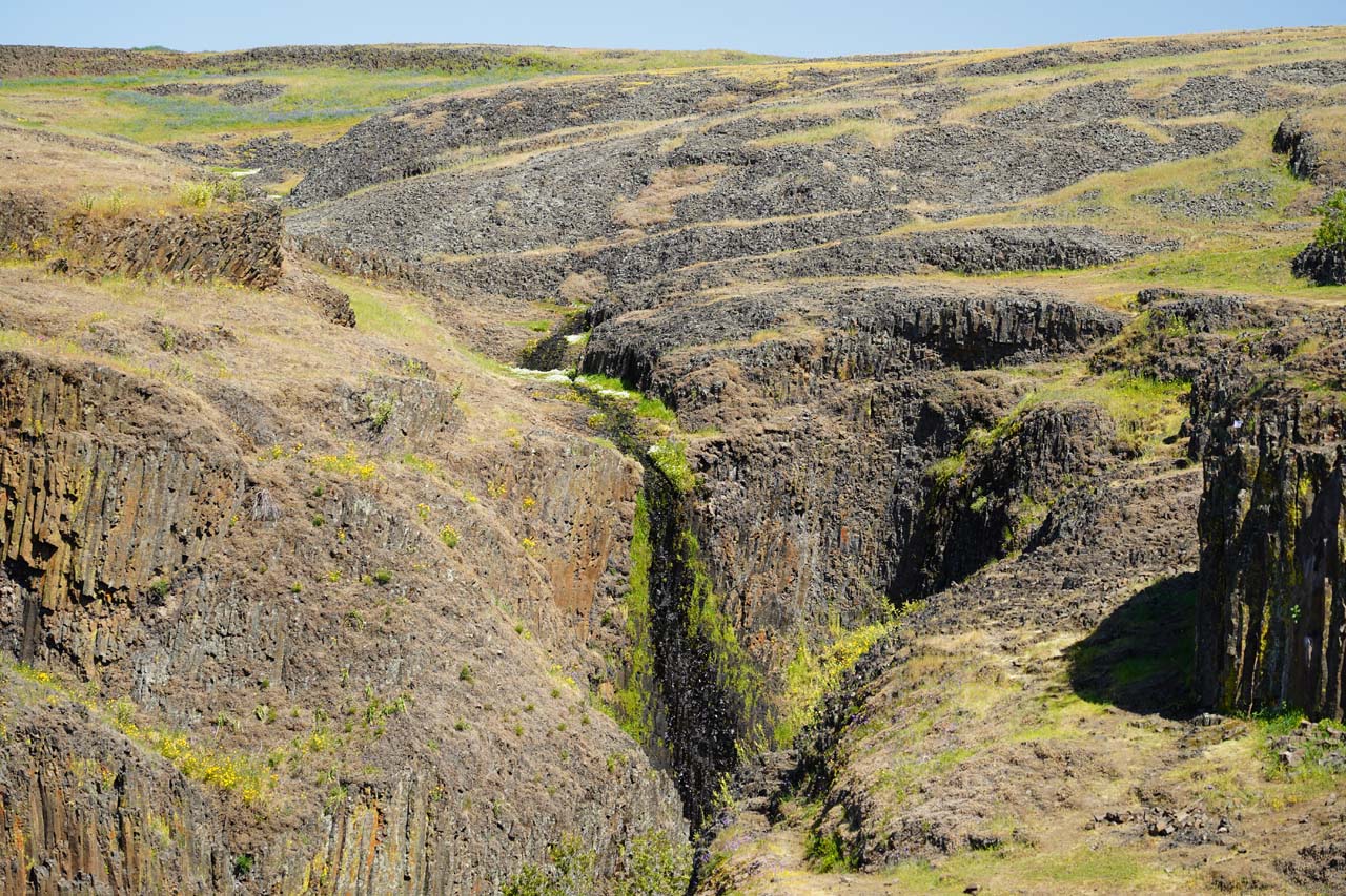 Phantom Falls - Basalt Waterfall with Cows & Wildflowers