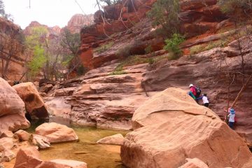 Pine_Creek_Falls_041_04042018