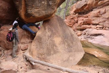 Pine_Creek_Falls_179_04042018