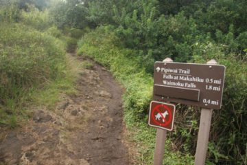 Pipiwai_Trail_031_02232007