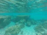 Piscine_Naturelle_GoPro_014_11272015 - The reefs at the Piscine Naturelle in Ile des Pins