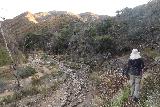 Placerita_Canyon_035_01192019 - Julie on the ledge trail where we were perched above the wash of the Placerita Creek basin as seen in January 2019