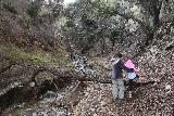 Placerita_Canyon_042_01192019 - Julie helping Tahia get over a deadfall when the ledge trail descended back down alongside Placerita Creek during our January 2019 visit