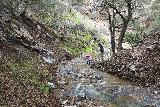 Placerita_Canyon_051_01192019 - Looking back at Tahia and Julie doing some stream scrambling on Placerita Creek immediately above the first intermediate waterfall obstacle on our January 2019 visit