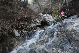 Placerita_Canyon_060_01192019 - Looking up at Tahia making it beyond the second slippery cascade obstacle on Placerita Creek during our January 2019 visit
