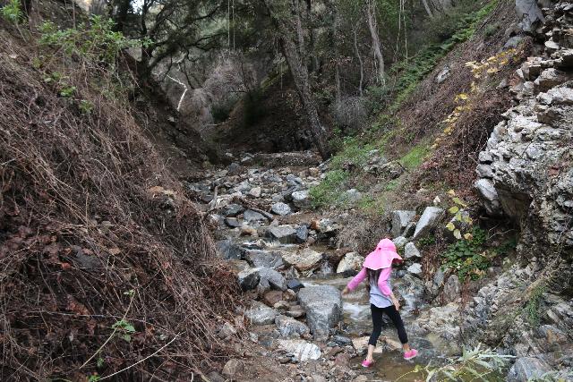 Placerita_Canyon_068_01192019 - Tahia crossing Placerita Creek while bypassing a landslide obstacle as Placerita Canyon continued to narrow en route to Placerita Creek Falls. That landslide was one reason why we experienced rougher conditions during our January 2019 visit