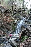 Placerita_Canyon_085_01192019 - Tahia checking out the attractive Placerita Creek Falls