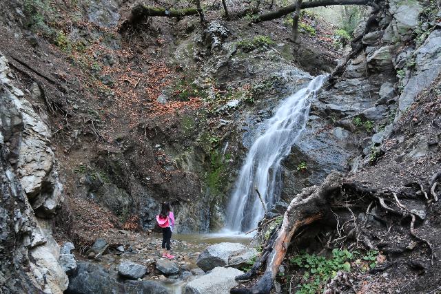 Placerita_Canyon_092_01192019 - Placerita Creek Falls