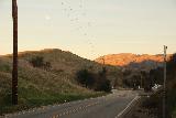 Placerita_Canyon_190_01192019 - Returning to our parked car along Placerita Canyon road to end our January 2019 visit