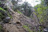 Placerita_Creek_Falls_047_02122023 - The Waterfall Trail going up and over this landslide obstacle during my February 2023 visit. In January 2019, this landslide obstacle might have obscured or eroded the old trail that was here, which forced us to stream scramble the canyon floor here