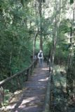 Pong_Dueat_024_12282008 - Julie walking on a boardwalk in rainforest settings