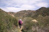 Portrero_John_049_03192017 - The further we went along the Portrero John Trail, we started to notice that the mountains and cliffs that once seemed to be in the distance were now closing in